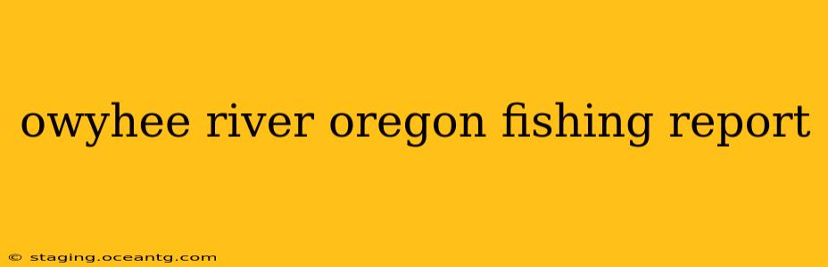 owyhee river oregon fishing report
