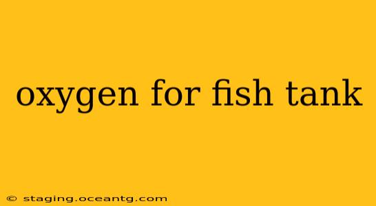 oxygen for fish tank