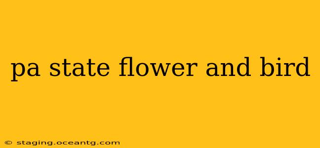 pa state flower and bird
