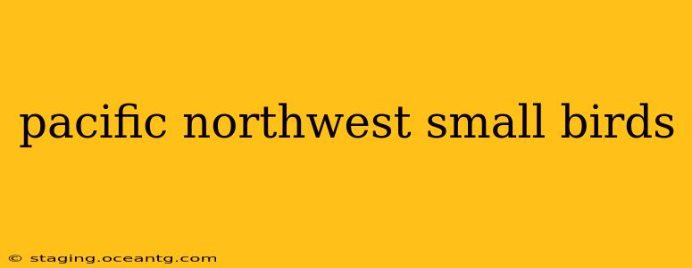 pacific northwest small birds