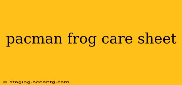 pacman frog care sheet