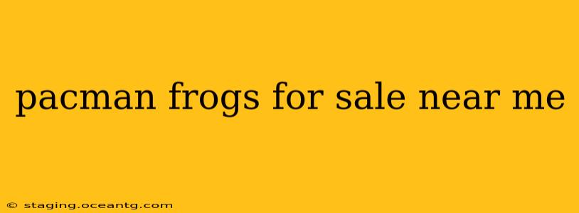 pacman frogs for sale near me