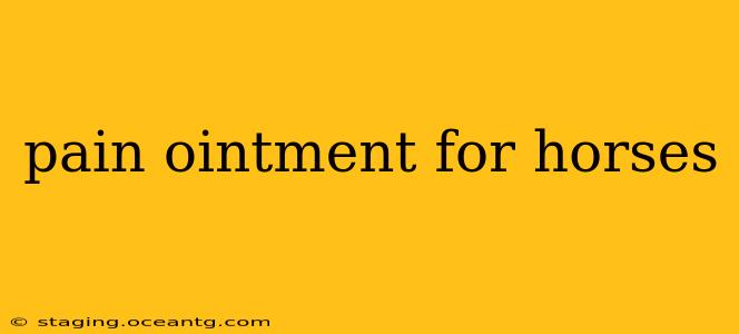 pain ointment for horses