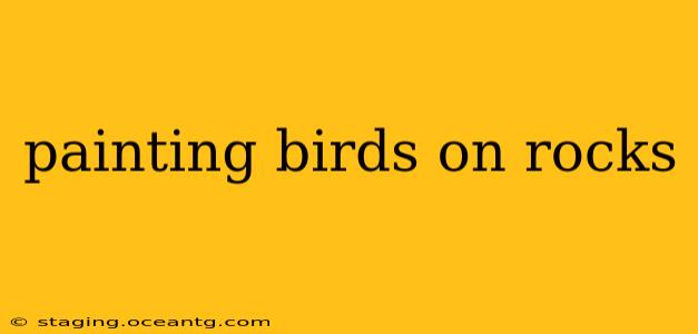 painting birds on rocks