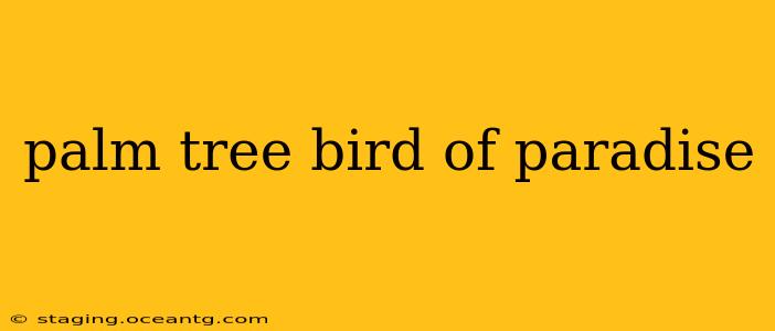 palm tree bird of paradise