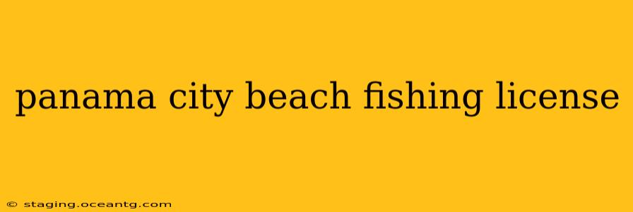 panama city beach fishing license