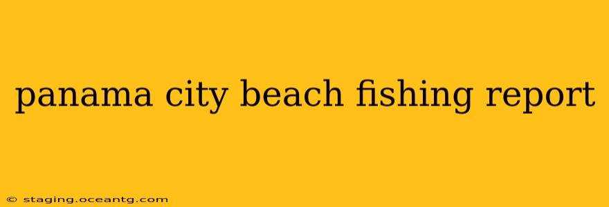 panama city beach fishing report