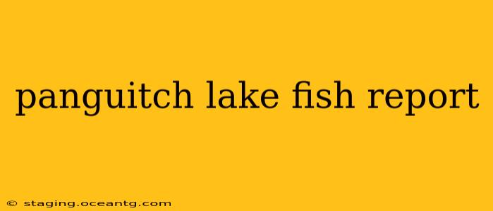 panguitch lake fish report
