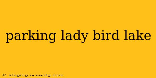 parking lady bird lake