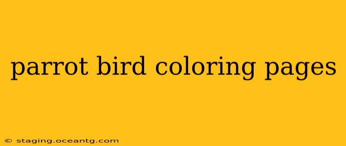 parrot bird coloring pages