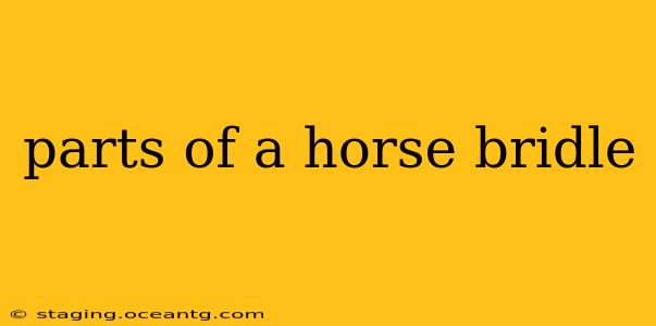 parts of a horse bridle