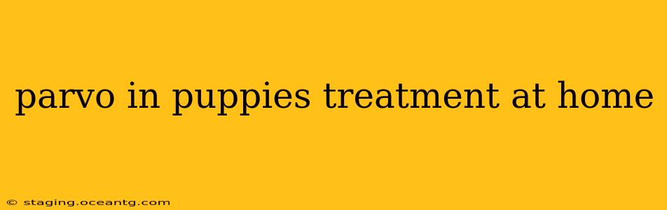 parvo in puppies treatment at home