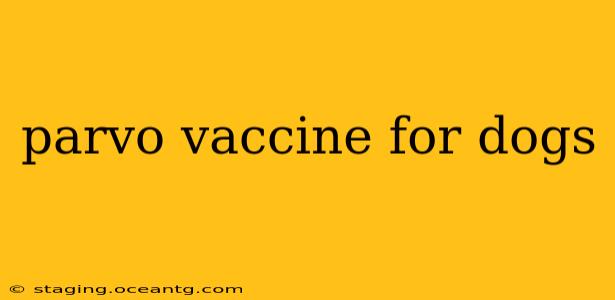 parvo vaccine for dogs
