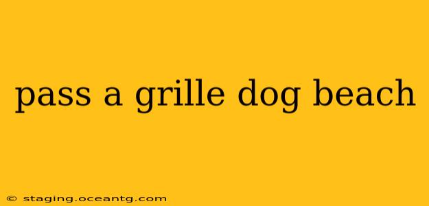 pass a grille dog beach