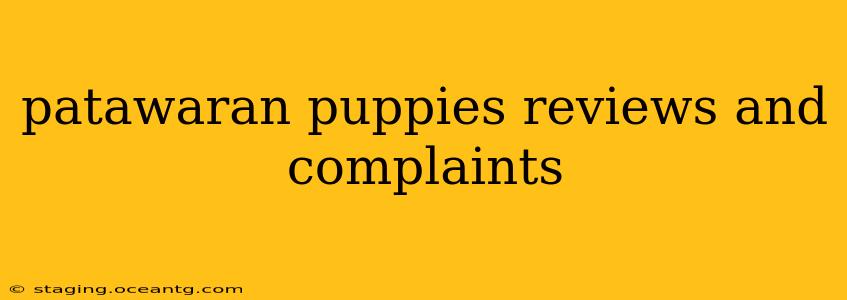 patawaran puppies reviews and complaints