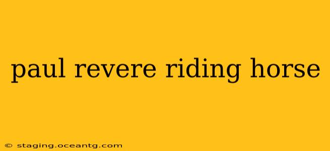 paul revere riding horse