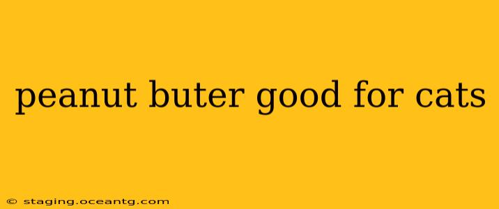 peanut buter good for cats