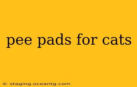 pee pads for cats