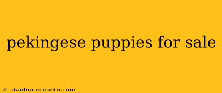 pekingese puppies for sale