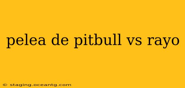 pelea de pitbull vs rayo