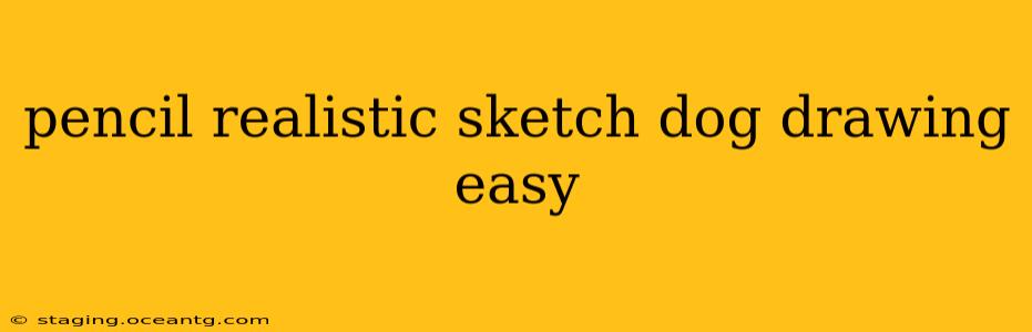 pencil realistic sketch dog drawing easy