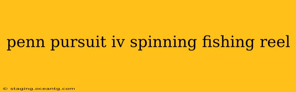 penn pursuit iv spinning fishing reel