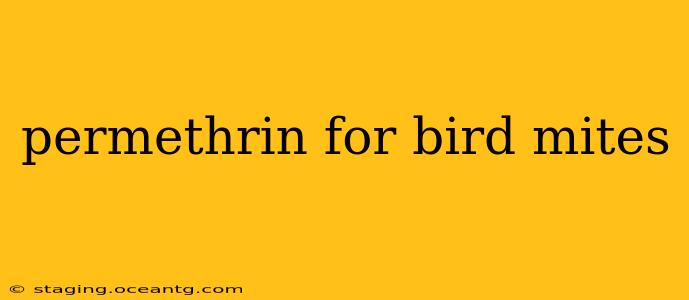 permethrin for bird mites