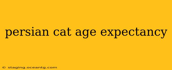 persian cat age expectancy