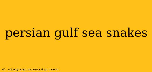 persian gulf sea snakes