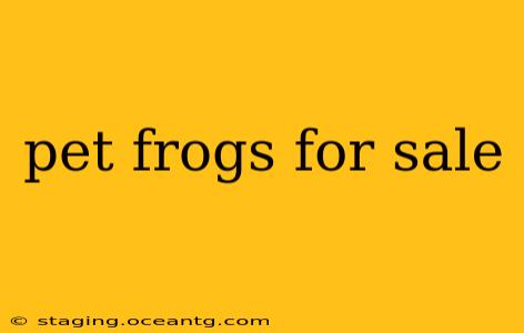 pet frogs for sale