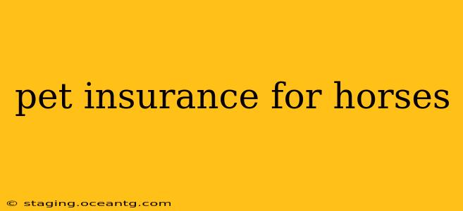 pet insurance for horses