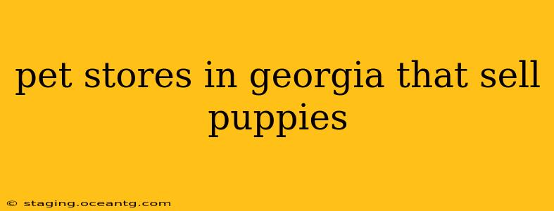 pet stores in georgia that sell puppies