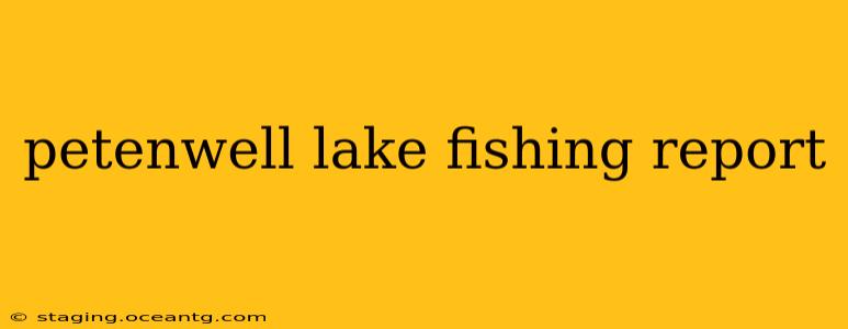 petenwell lake fishing report