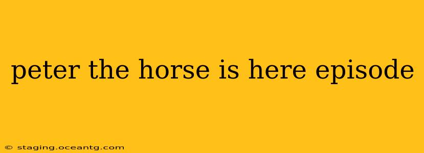 peter the horse is here episode