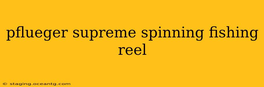 pflueger supreme spinning fishing reel