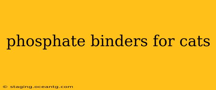 phosphate binders for cats