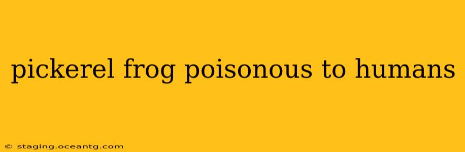 pickerel frog poisonous to humans