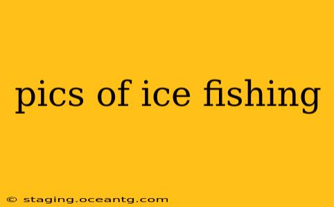 pics of ice fishing