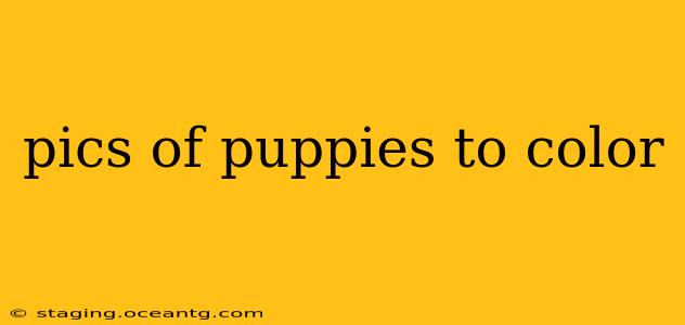 pics of puppies to color