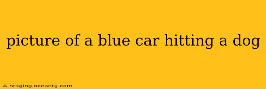 picture of a blue car hitting a dog