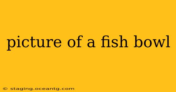 picture of a fish bowl