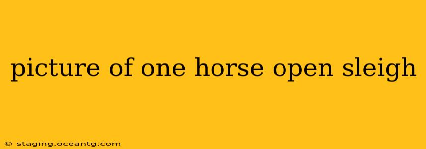 picture of one horse open sleigh