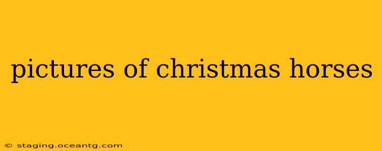 pictures of christmas horses