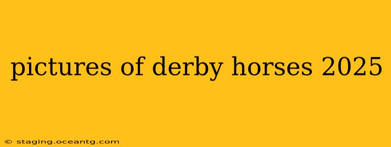 pictures of derby horses 2025