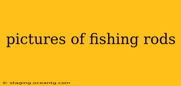 pictures of fishing rods