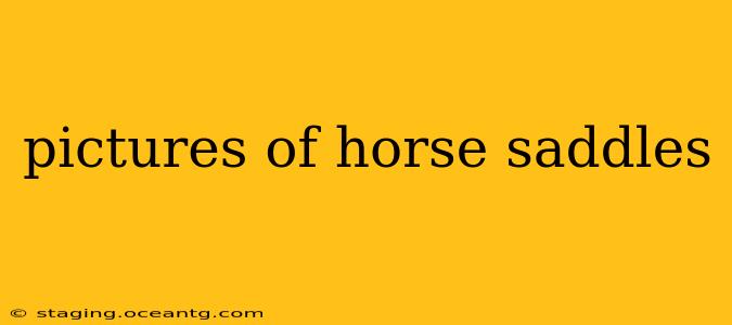 pictures of horse saddles