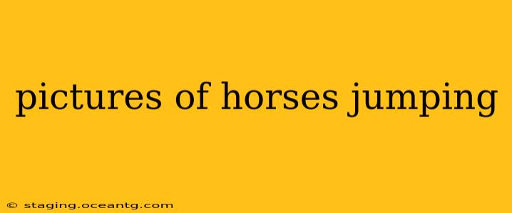 pictures of horses jumping