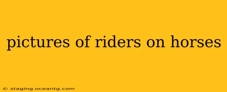 pictures of riders on horses