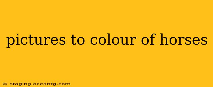 pictures to colour of horses