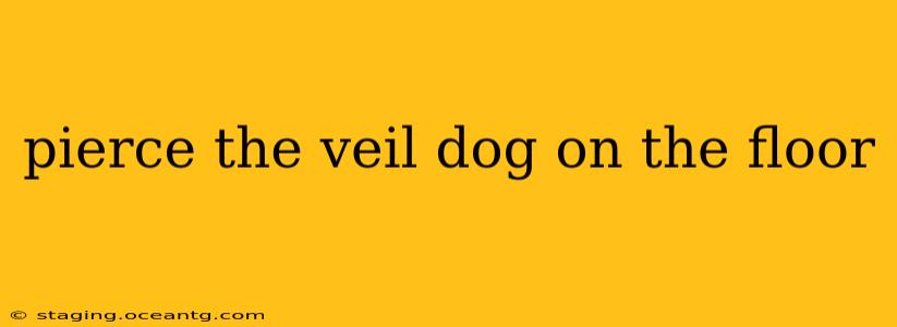 pierce the veil dog on the floor